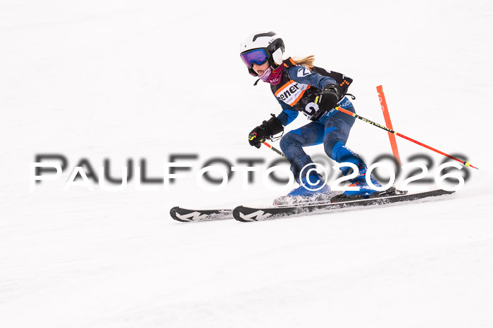 Ziener Cup 3 SL kühtai, 25.01.2026