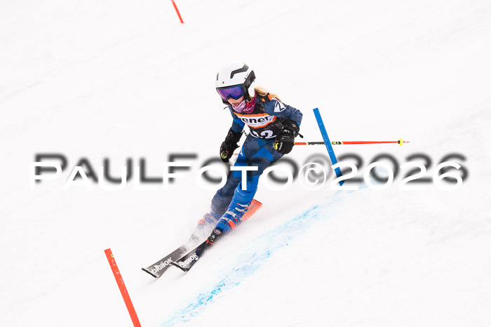 Ziener Cup 3 SL kühtai, 25.01.2026