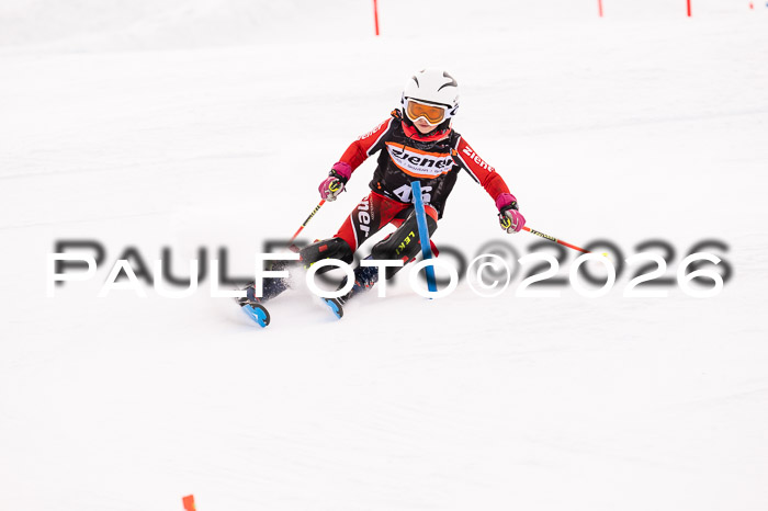 Ziener Cup 3 SL kühtai, 25.01.2026