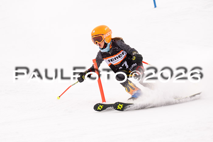 Ziener Cup 3 SL kühtai, 25.01.2026