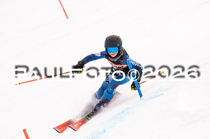 Ziener Cup 3 SL kühtai, 25.01.2026