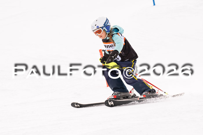 Ziener Cup 3 SL kühtai, 25.01.2026