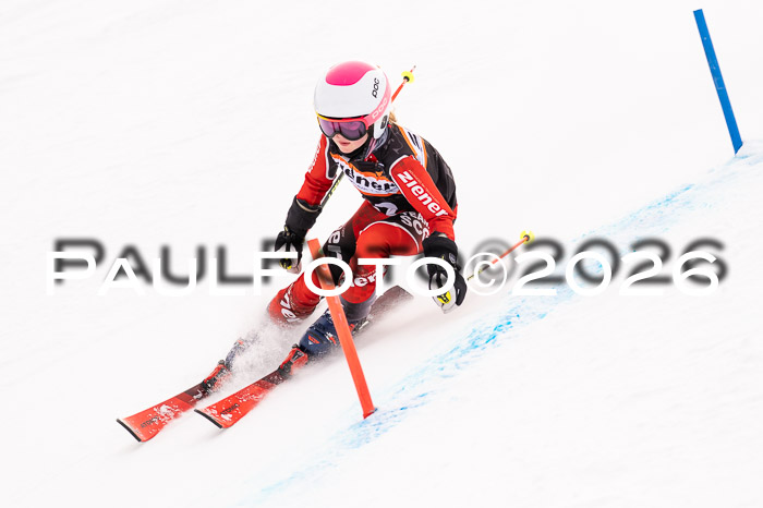 Ziener Cup 3 SL kühtai, 25.01.2026