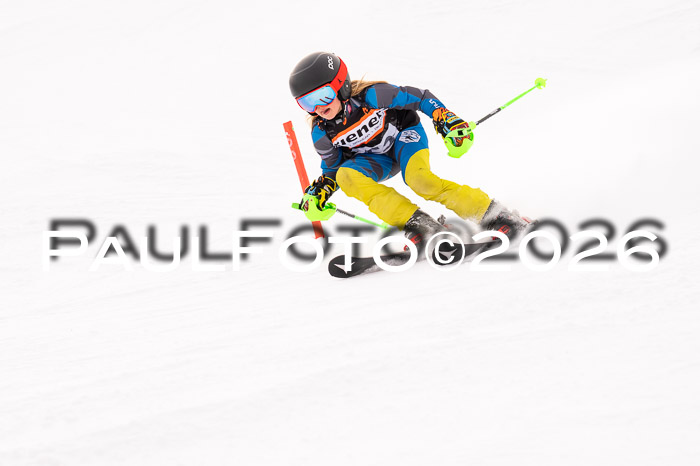 Ziener Cup 3 SL kühtai, 25.01.2026