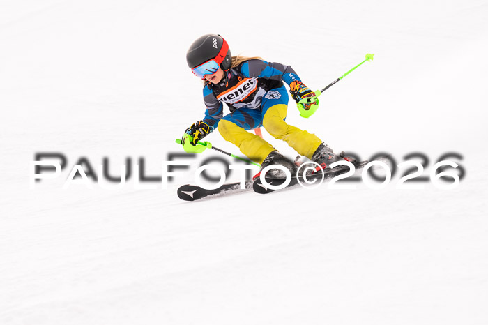 Ziener Cup 3 SL kühtai, 25.01.2026