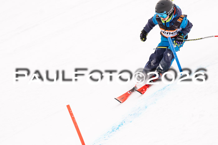 Ziener Cup 3 SL kühtai, 25.01.2026