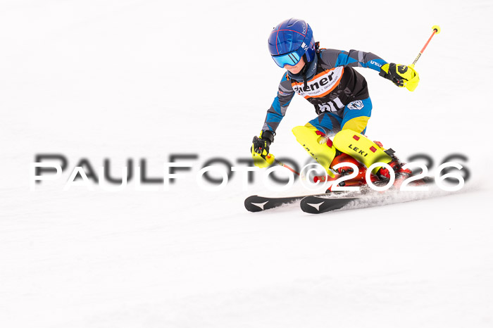 Ziener Cup 3 SL kühtai, 25.01.2026