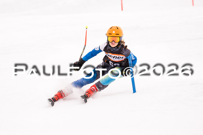 Ziener Cup 3 SL kühtai, 25.01.2026