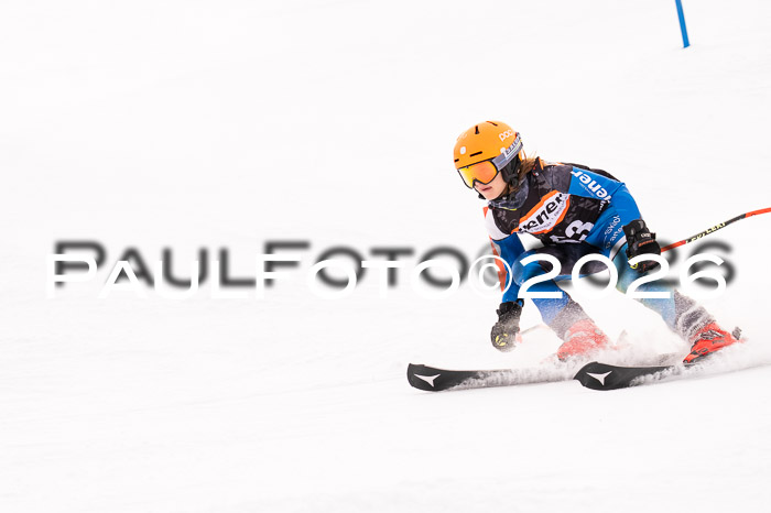 Ziener Cup 3 SL kühtai, 25.01.2026