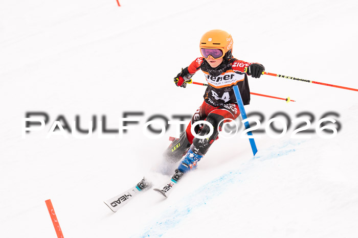 Ziener Cup 3 SL kühtai, 25.01.2026