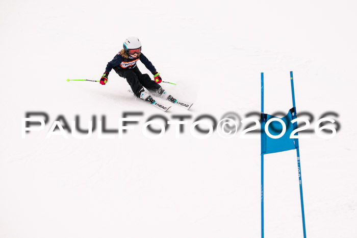 Ziener Cup 3 SL kühtai, 25.01.2026