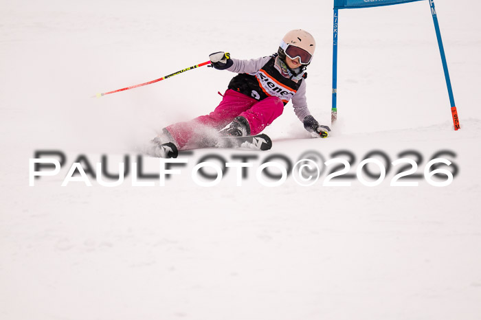 Ziener Cup 3 SL kühtai, 25.01.2026