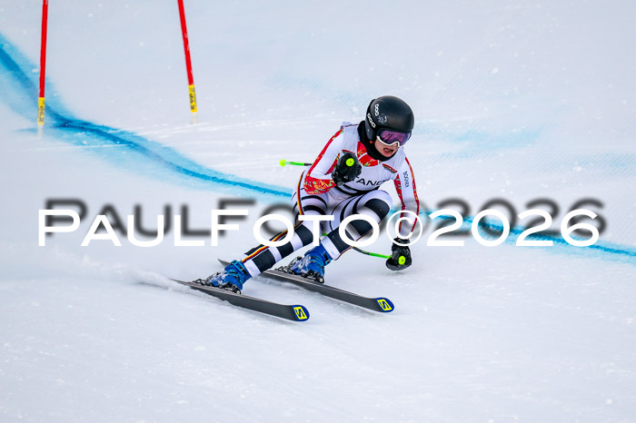 FIS DH Damen + Herren, Kandahar 30.01.2026