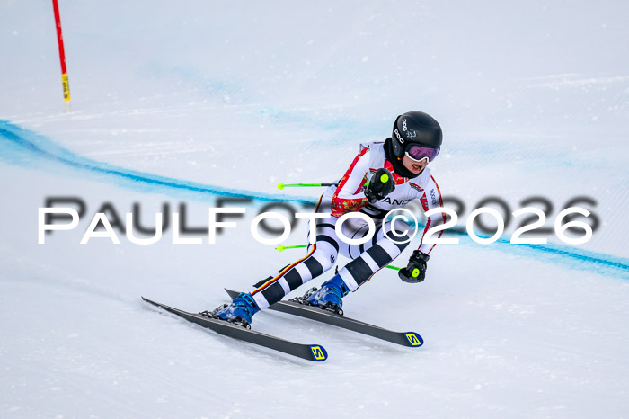 FIS DH Damen + Herren, Kandahar 30.01.2026