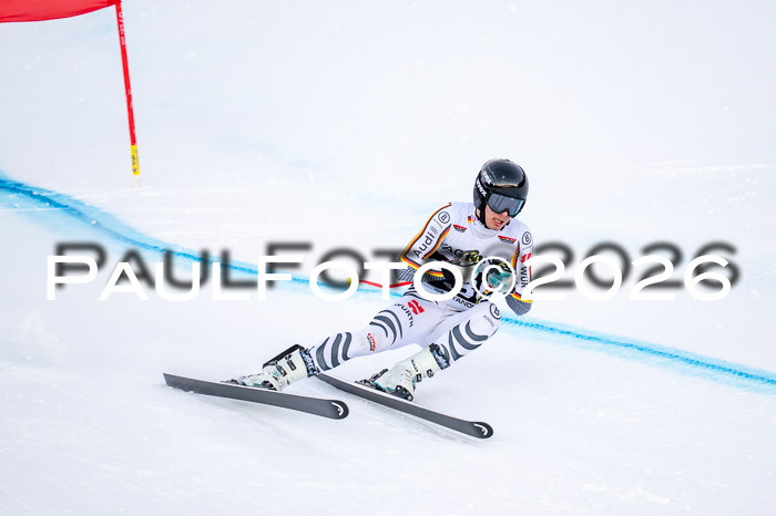 FIS DH Damen + Herren, Kandahar 30.01.2026