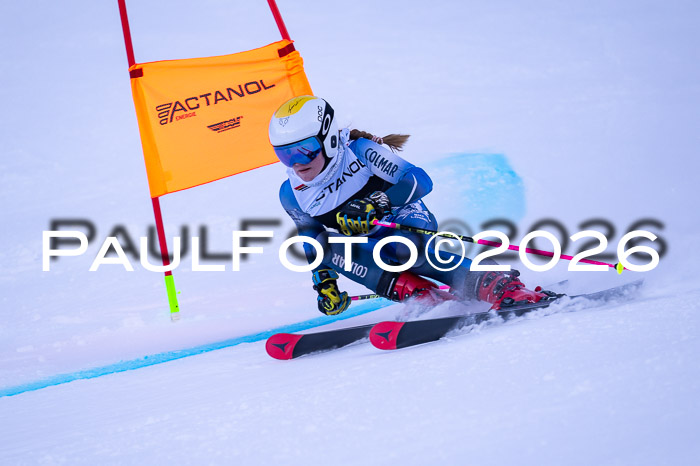 DSV Actanol Schülercup Alpin U14 RS+, 31.01.2026