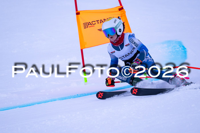 DSV Actanol Schülercup Alpin U14 RS+, 31.01.2026