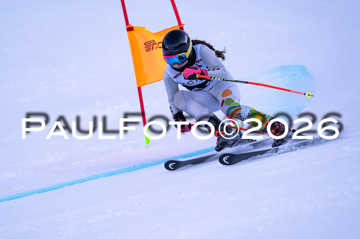 DSV Actanol Schülercup Alpin U14 RS+, 31.01.2026