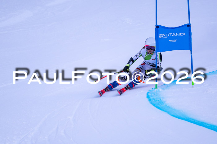 DSV Actanol Schülercup Alpin U14 RS+, 31.01.2026