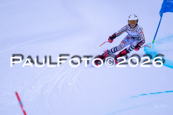 DSV Actanol Schülercup Alpin U14 RS+, 31.01.2026