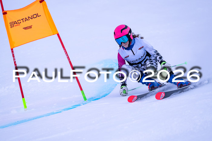 DSV Actanol Schülercup Alpin U14 RS+, 31.01.2026