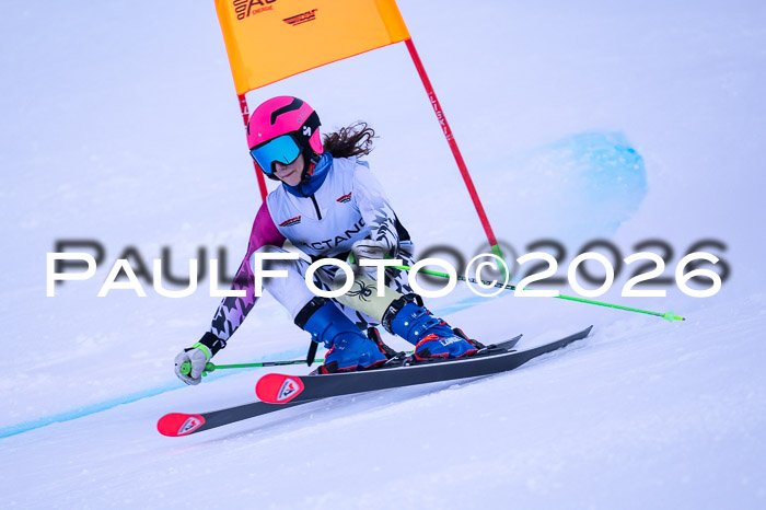 DSV Actanol Schülercup Alpin U14 RS+, 31.01.2026