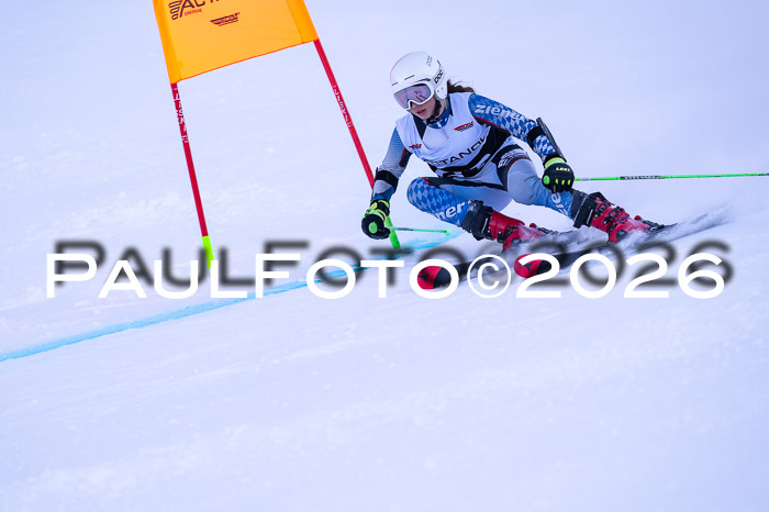 DSV Actanol Schülercup Alpin U14 RS+, 31.01.2026