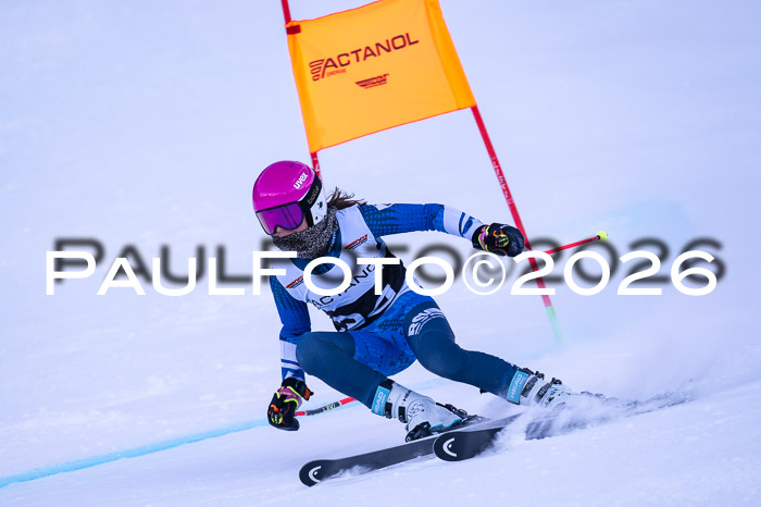DSV Actanol Schülercup Alpin U14 RS+, 31.01.2026