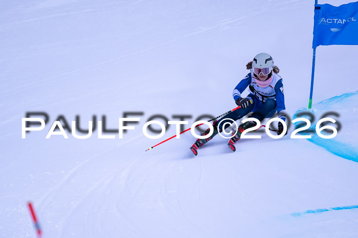 DSV Actanol Schülercup Alpin U14 RS+, 31.01.2026
