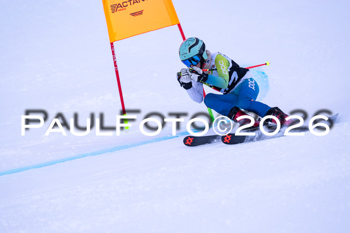 DSV Actanol Schülercup Alpin U14 RS+, 31.01.2026