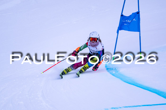 DSV Actanol Schülercup Alpin U14 RS+, 31.01.2026