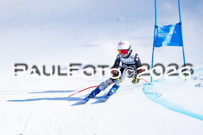 DSV Actanol Schülercup Alpin U14 RS+, 31.01.2026