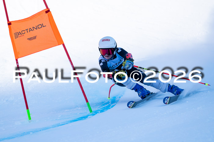 DSV Actanol Schülercup Alpin U14 RS+, 31.01.2026