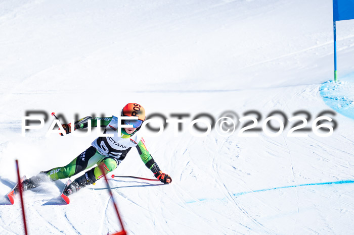 DSV Actanol Schülercup Alpin U14 RS+, 31.01.2026