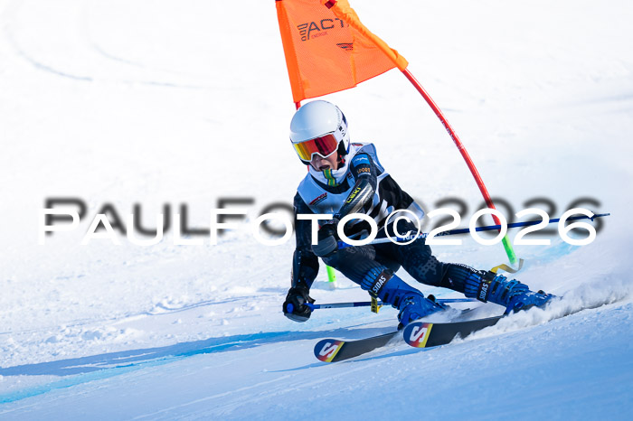 DSV Actanol Schülercup Alpin U14 RS+, 31.01.2026