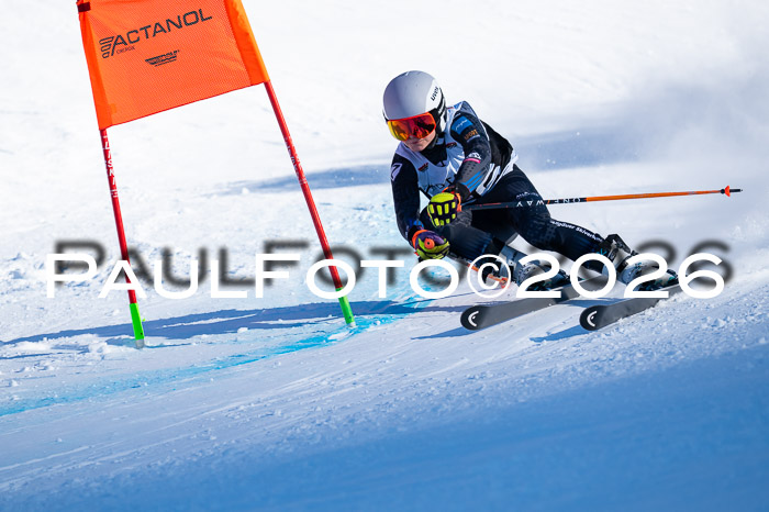 DSV Actanol Schülercup Alpin U14 RS+, 31.01.2026