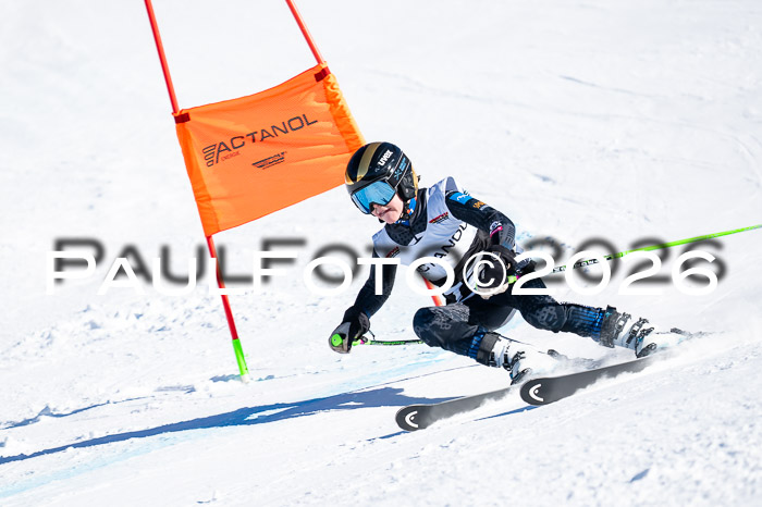 DSV Actanol Schülercup Alpin U14 RS+, 31.01.2026