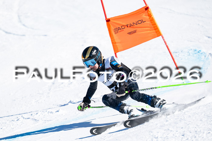DSV Actanol Schülercup Alpin U14 RS+, 31.01.2026