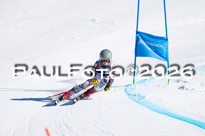 DSV Actanol Schülercup Alpin U14 RS+, 31.01.2026