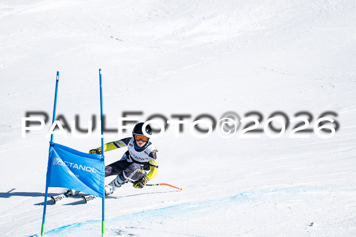 DSV Actanol Schülercup Alpin U14 RS+, 31.01.2026