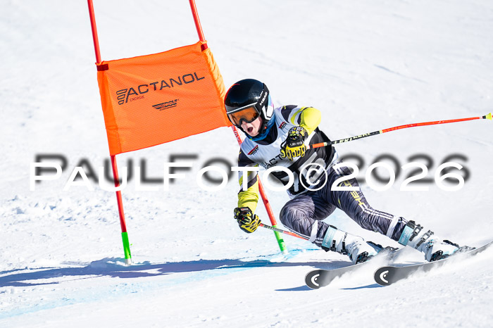 DSV Actanol Schülercup Alpin U14 RS+, 31.01.2026