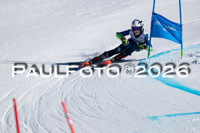 DSV Actanol Schülercup Alpin U14 RS+, 31.01.2026