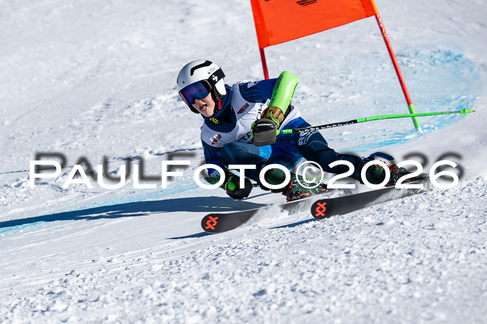 DSV Actanol Schülercup Alpin U14 RS+, 31.01.2026