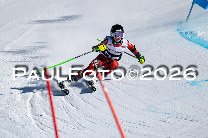 DSV Actanol Schülercup Alpin U14 RS+, 31.01.2026