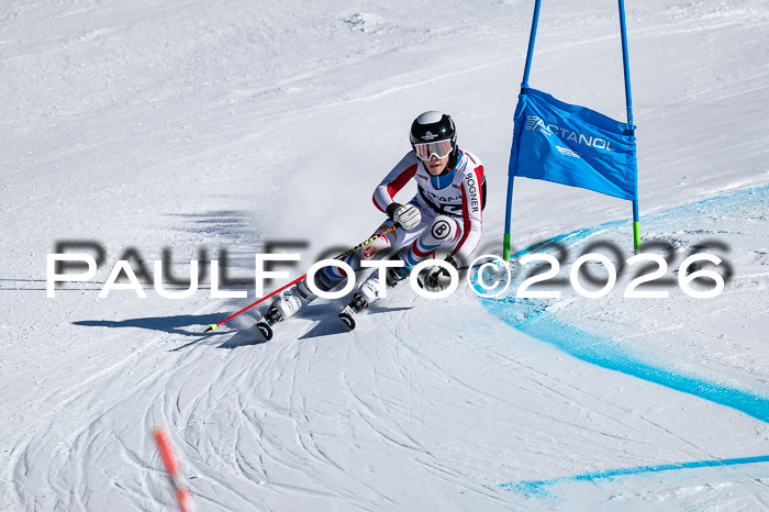 DSV Actanol Schülercup Alpin U14 RS+, 31.01.2026