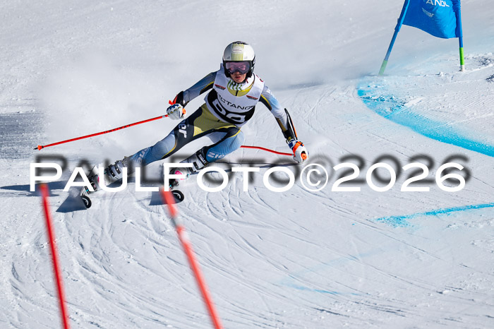 DSV Actanol Schülercup Alpin U14 RS+, 31.01.2026
