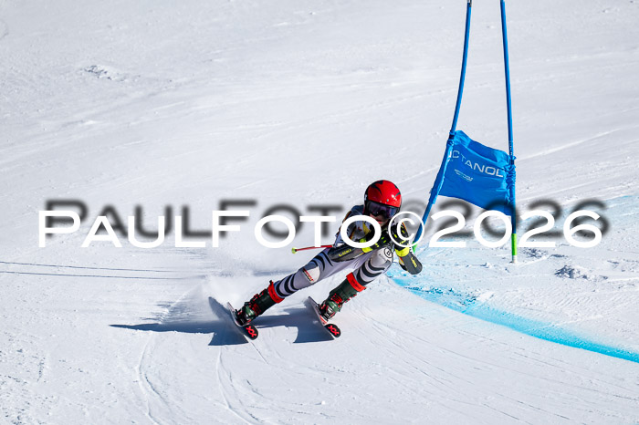 DSV Actanol Schülercup Alpin U14 RS+, 31.01.2026