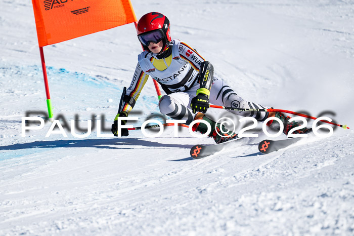DSV Actanol Schülercup Alpin U14 RS+, 31.01.2026