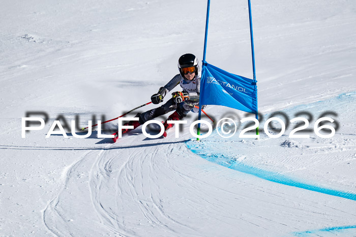 DSV Actanol Schülercup Alpin U14 RS+, 31.01.2026