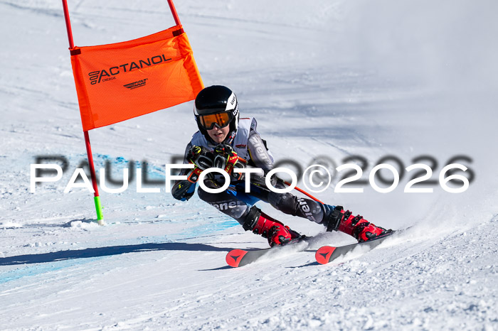 DSV Actanol Schülercup Alpin U14 RS+, 31.01.2026
